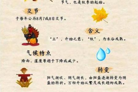 传统农耕节日的习俗与现代应用