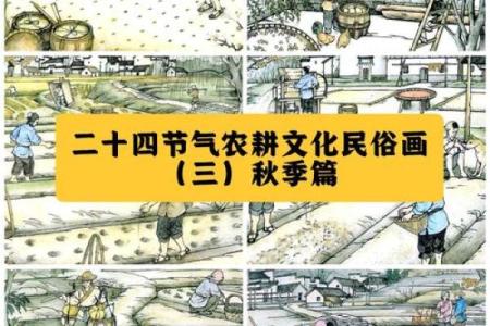 传统习俗背后的农耕文化智慧